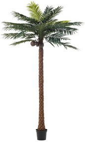 Okrasná palma v kvetináči Palm - Ø190 * 350cm