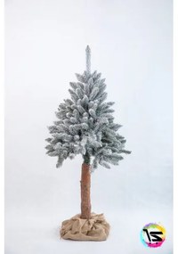 Vianočný stromček na kmeni stromu zasnežený