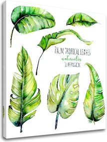 Obraz na stenu s textom Palm tropical leaves