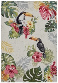 Hanse Home Collection koberce Kusový koberec Flair 105608 Tropical Dream Creme Multicolored – na von aj na doma - 120x180 cm
