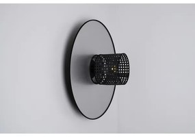 Duolla - Nástenné svietidlo TOKYO RATTAN 1xE27/15W/230V pr. 50 cm strieborná/čierna
