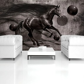 Fototapeta - Čierny kôň (254x184 cm)