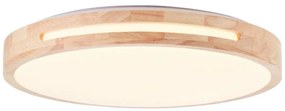 Brilliant - LED Stmievateľné stropné svietidlo WOODBURY LED/24W/230V pr. 39 cm