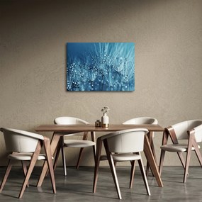 Obraz - Kvapky rosy (70x50 cm)