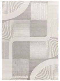 Koberec vo svetlosivej a slonovinovej farbe 200x290 cm Flora – Universal