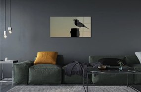 Sklenený obraz Drozd 120x60 cm