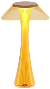 Globo 21025A-LED Stm. nab. stol. lampa AMBRA LED/2,5W/3,7V 2700K/4500K/6500K zl