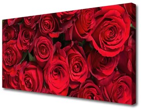 Obraz Canvas Červené ruže kvety príroda 140x70 cm