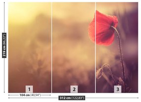 Fototapeta Vliesová Makový kvet 208x146 cm