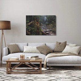 Obraz - V lese (90x60 cm)