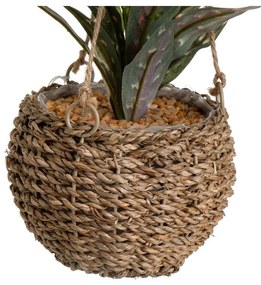 Umelá rastlina (výška 25 cm) – Casa Selección