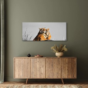 Obraz - Tigrice a jej mláďa, čiernobiely variant (120x50 cm)