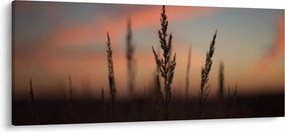 Obraz - Silueta rastliny (120x50 cm)