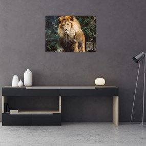 Sklenený obraz leva v prírode (70x50 cm)