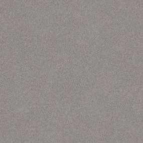 Beaulieu International Group, PVC podlaha - lino Master X 2979, na mieru, šíře 2m,4m, šedá, pvc, chodba / predsieň