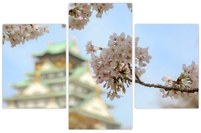Obraz - Sakura (90x60 cm)