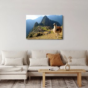 Obrázok - Lama a Machu Picchu (90x60 cm)