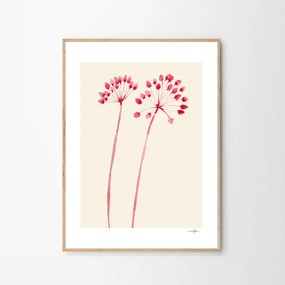 Moikka Plagát Flowers 02 by Ana Frois 50x70