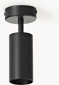 Nástenné bodové svietidlo Cassandra