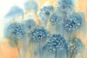 Tapeta modrá púpava v akvarelovom prevedení - 150x270