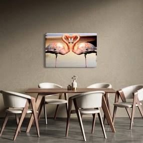 Obraz - dva plameniaky (90x60 cm)