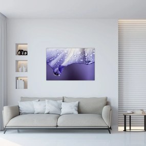Obraz - Okvetný lístok s kvapkami (90x60 cm)