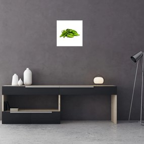 Zelené papričky - obraz