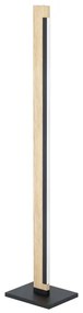 Eglo 99296 - LED Stmievateľná stojacia lampa CAMACHO LED/22W/230V