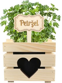 AMADEA Drevený zápich - ceduľka na bylinky Petržlen, výška 20 cm, český výrobok