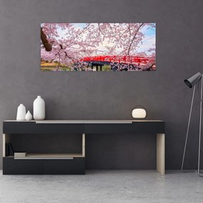 Obraz - Hirosaki, Japonsko (120x50 cm)