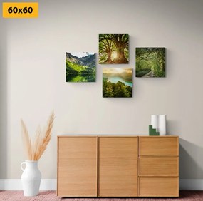 Set obrazov nádherná zelená príroda Varianta: 4x 40x40