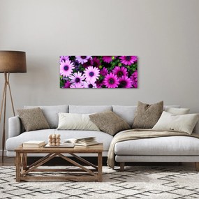 Obraz - Kvety (120x50 cm)