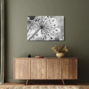 Obraz - Kvetina v zime (90x60 cm)