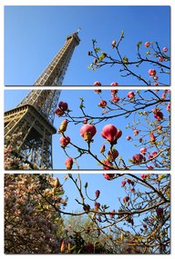 Obraz na plátne - Eiffelova veža v jarnom období - obdĺžnik 734B (120x80 cm)