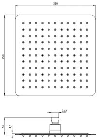 Deante Cascada, nerezová dažďová sprchová hlavica 250x250 mm, čierna matná, DEA-NAC_202K