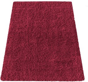 DY Červený protišmykový shaggy koberec Camel Rozmer: 200x290 cm