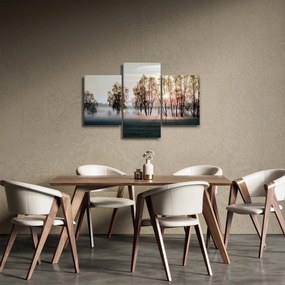 Obraz - Ranná sychravosť (90x60 cm)