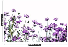 Fototapeta Vliesová Vesmír kvety 250x104 cm