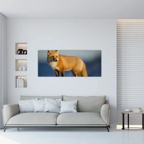Obraz - Liška na snehu (120x50 cm)