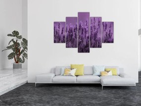 Obraz - Levanduľa (150x105 cm)