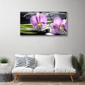 Skleneny obraz Orchidea kamene zen kúpele 125x50 cm
