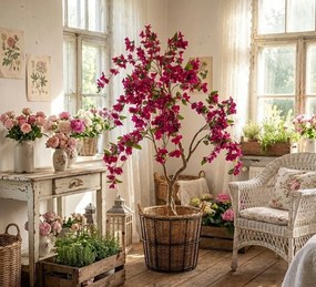 Stromček s ružovými kvetmi Bougainvillea Tree - 80*80*180 cm