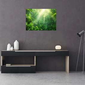 Obraz - Dažďový prales (70x50 cm)