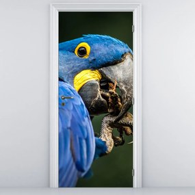 Fototapeta na dvere - Papagáj (95x205cm)
