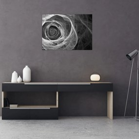 Obraz - Abstraktné ruže čiernobiela (70x50 cm)