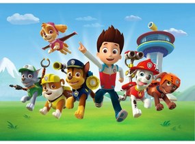 Detská fototapeta Paw Patrol 251 x 182 cm, 4 diely