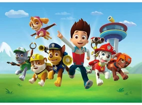 Detská fototapeta Paw Patrol 251 x 182 cm, 4 diely