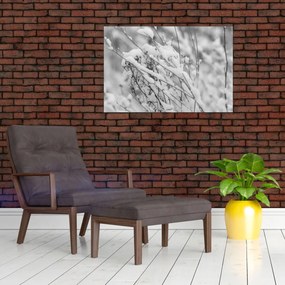 Obraz - Zasnežené vetvy (90x60 cm)