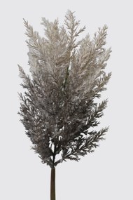 Sivo hnedá dymová dekoračná poľná tráva 78cm