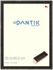 DANTIK rám na obraz 30x40 | Mosa tm.šedá (Plexi Čiré)